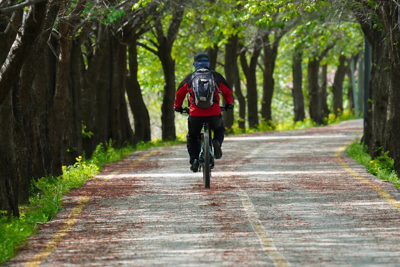 양주 중고차 매매단지