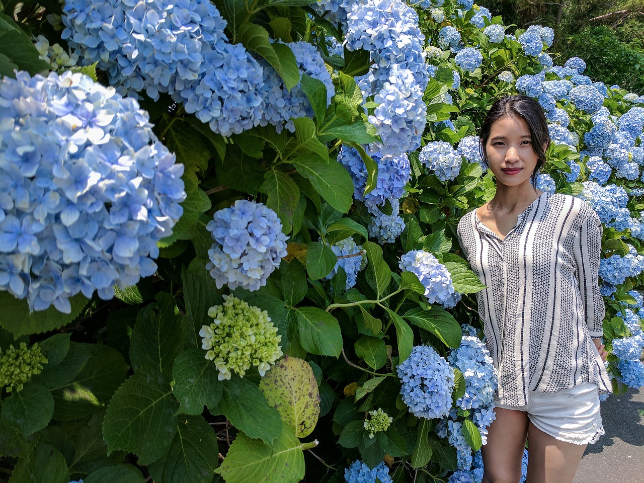 제주 오토파크 중고차 매매단지