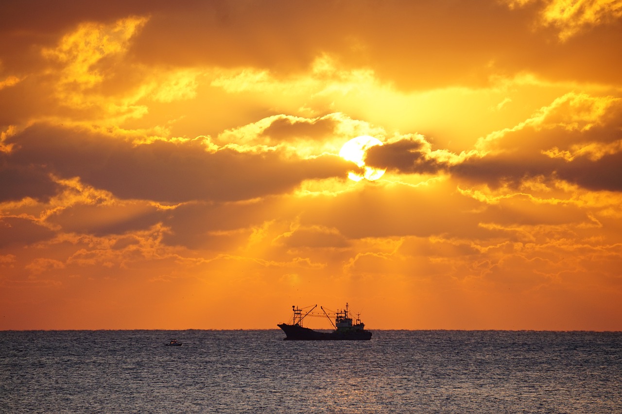 서귀포 중고차 매매단지에서 스마트하게 차 구입하기